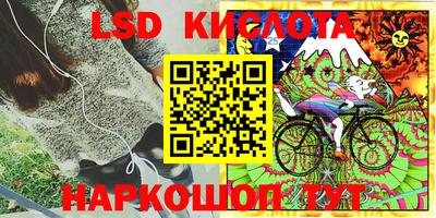 спайс Моздок